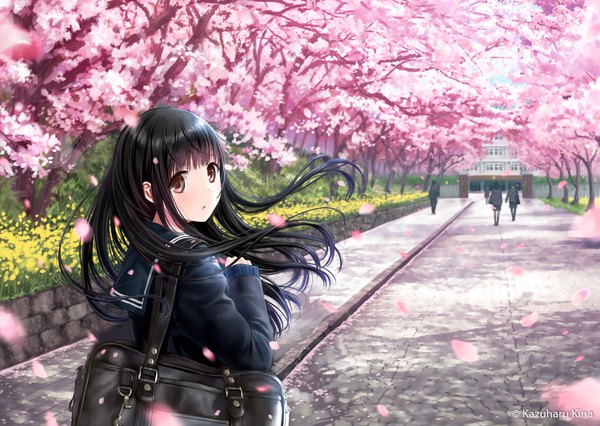 Anime picture 1518x1080 with original kazuharu kina long hair blush fringe black hair brown eyes signed upper body outdoors blunt bangs looking back wind cherry blossoms watermark sleeves past wrists solo focus walking street spring