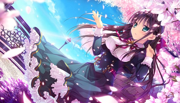 Anime picture 1320x760 with primal x hearts kuragano sera single long hair blush blue eyes black hair wide image game cg cherry blossoms girl dress uniform bow plant (plants) hair bow school uniform petals tree (trees)