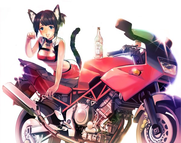 Anime picture 1423x1122 with breasts blue eyes cat girl girl bottle motorcycle
