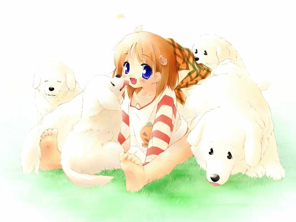 Anime picture 1024x768 with suigetsu yamato suzuran waha soft beauty dog