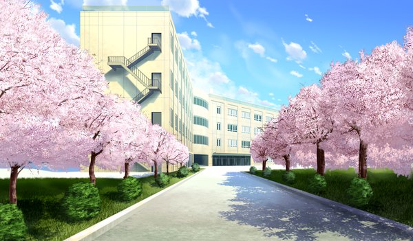 Anime picture 1024x600 with da capo iii wide image game cg sky cloud (clouds) cherry blossoms no people landscape plant (plants) tree (trees) road school