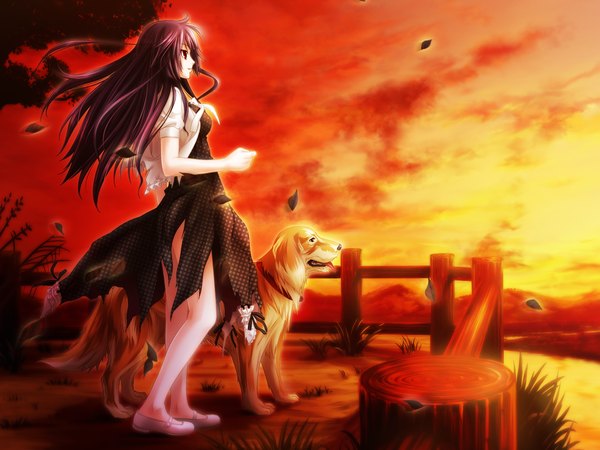 Anime picture 1600x1200 with cthulhu - great hunting long hair red eyes game cg purple hair evening sunset girl animal dog