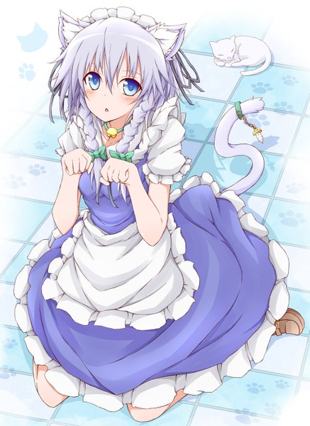 Anime picture 1020x1400 with touhou izayoi sakuya karamoneeze single tall image looking at viewer blush short hair open mouth blue eyes sitting animal ears silver hair animal tail cat ears :o short sleeves maid cat girl cat tail