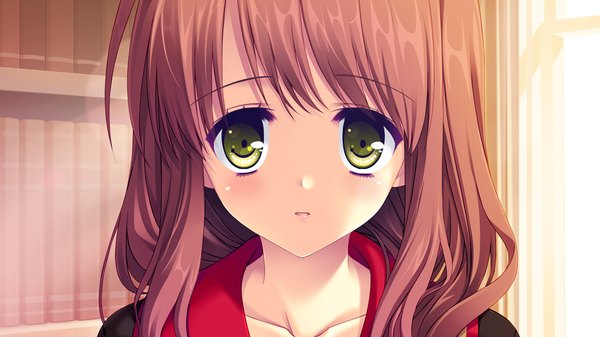 Anime picture 1024x576 with lovely quest long hair looking at viewer brown hair wide image yellow eyes game cg girl