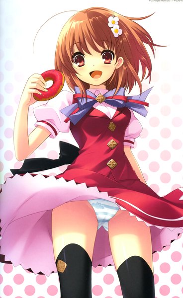 Anime picture 1776x2892 with flyable heart inaba yui itou noiji single tall image highres short hair open mouth light erotic red eyes brown hair hair flower pantyshot girl thighhighs hair ornament underwear panties bow black thighhighs