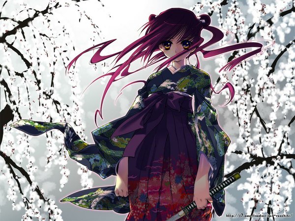 Anime picture 1024x768 with 888 single long hair looking at viewer brown eyes purple hair traditional clothes japanese clothes floating hair cherry blossoms covered mouth expressionless girl weapon sword katana hakama
