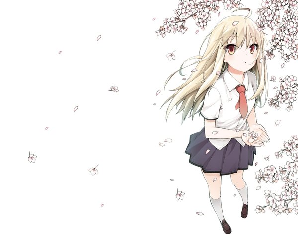 Anime picture 1600x1280 with sakura-sou no pet na kanojo j.c. staff shiina mashiro tagme (artist) single long hair looking at viewer fringe simple background blonde hair white background yellow eyes pleated skirt wind cherry blossoms girl uniform flower (flowers) school uniform shirt