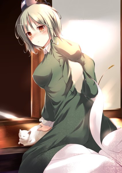 Anime picture 2507x3541 with touhou soga no tojiko fal maro single tall image blush highres short hair red eyes grey hair girl dress cat