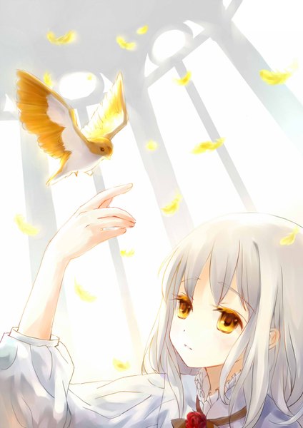 Anime picture 1240x1754 with original san mizu single tall image highres yellow eyes white hair sad girl animal bird (birds) rose (roses) feather (feathers) blouse clothes