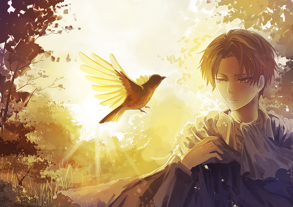 Anime picture 1000x707 with shingeki no kyojin production i.g levi (rivaille) qinshou single short hair brown hair brown eyes looking away upper body outdoors long sleeves sunlight hand on chest boy plant (plants) animal tree (trees) bird (birds) forest