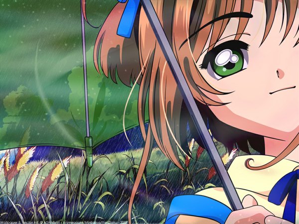 Anime picture 1024x768 with card captor sakura clamp kinomoto sakura two side up umbrella tagme