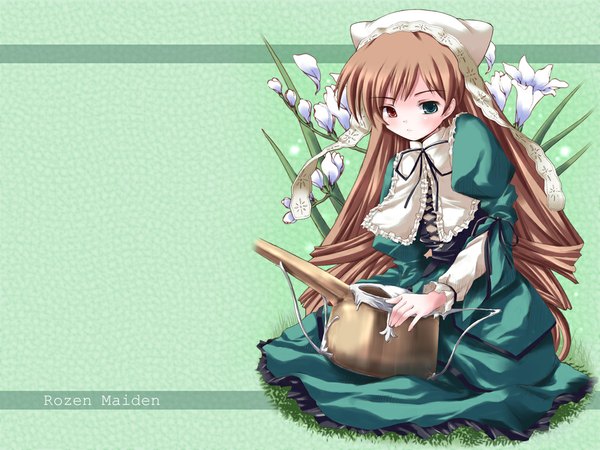 Anime picture 1024x768 with rozen maiden suiseiseki tagme