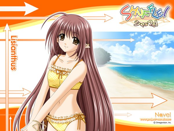 Anime picture 1024x768 with shuffle! lisianthus beach swimsuit bikini tagme