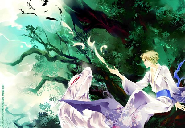 Anime picture 1000x695 with natsume yuujinchou brains base (studio) natsume takashi madara (nyanko-sensei) short hair blonde hair sitting sky japanese clothes profile magic boy plant (plants) animal tree (trees) kimono branch forest paper scroll