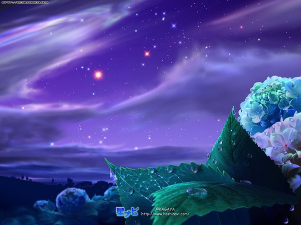 Anime picture 1024x768 with kagaya sky cloud (clouds) night night sky landscape 3d plant (plants) star (stars) water drop