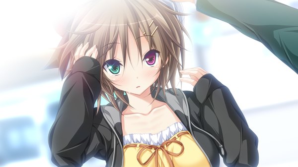 Anime picture 1280x720 with hapymaher purple software koku blush short hair brown hair wide image game cg open clothes open jacket heterochromia girl dress