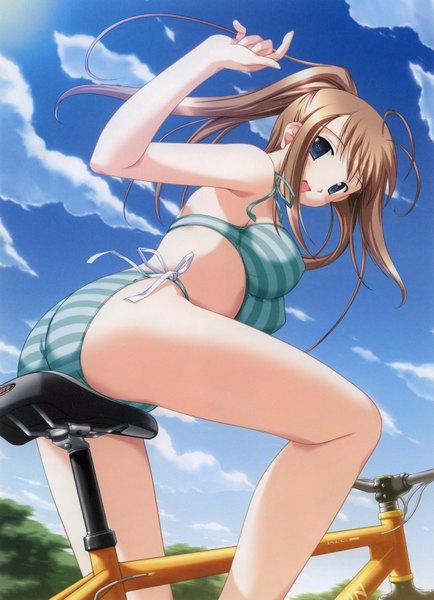 Anime picture 2567x3550 with alto tall image highres light erotic riding swimsuit plant (plants) bikini tree (trees) ground vehicle striped bikini bicycle