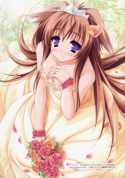 Anime picture 3282x4662 with tayutama lump of sugar mito mashiro moekibara fumitake single tall image looking at viewer blush fringe highres light erotic smile hair between eyes brown hair sitting purple eyes bare shoulders holding animal ears payot