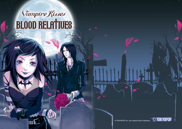 Anime picture 1024x728 with vampire kisses raven (vk) alexander sterling looking at viewer black hair red eyes purple eyes holding pink eyes inscription night night sky couple lipstick striped bat wings silhouette angel logo girl
