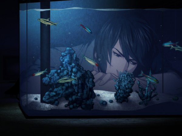 Anime picture 1600x1200 with sweet pool nitro+chiral youji sakiyama single fringe highres short hair black hair night boy fish (fishes) aquarium