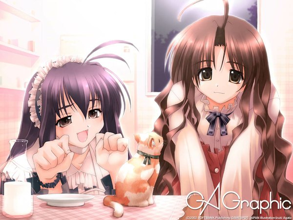Anime picture 1024x768 with gagraphic multiple girls girl 2 girls tagme