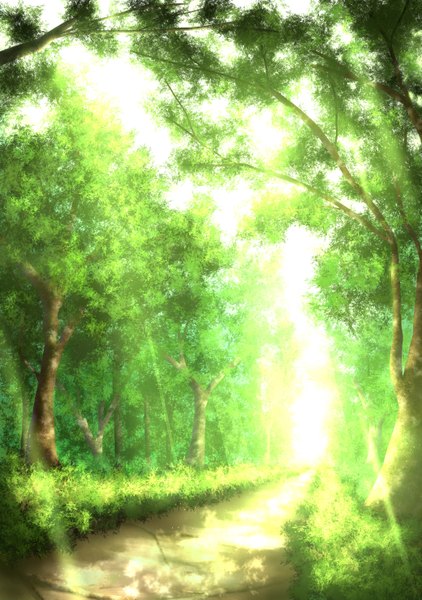 Anime picture 2079x2953 with original tsuruzen tall image highres sunlight no people landscape sunbeam nature plant (plants) tree (trees) forest