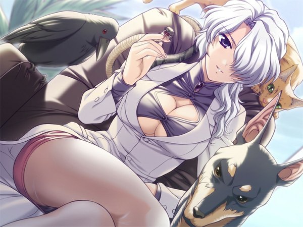 Anime picture 1024x768 with yakin byoutou blue eyes light erotic game cg white hair girl cat dog