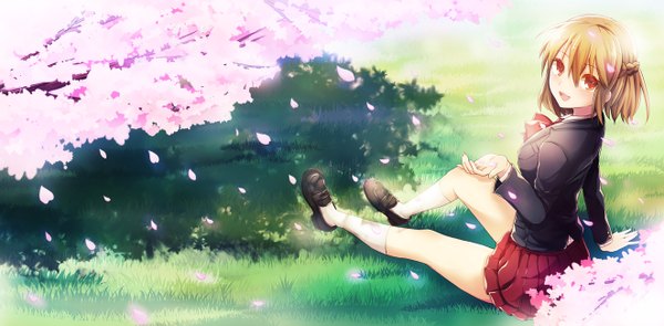 Anime picture 1322x650 with original kaio (watagami) single looking at viewer blush short hair open mouth red eyes brown hair wide image sitting braid (braids) pleated skirt cherry blossoms girl skirt uniform plant (plants) school uniform miniskirt
