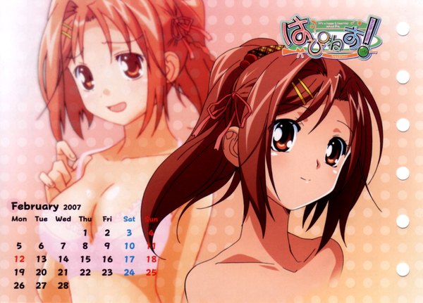 Anime picture 3992x2870 with happiness kamisaka haruhi blush highres short hair open mouth light erotic brown hair brown eyes absurdres ponytail light smile polka dot dual persona 2007 calendar 2007 girl hair ornament bobby pin calendar