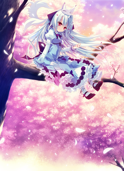 Anime picture 1280x1765 with koi ga saku koro sakura doki tina (koi ga saku koro sakura doki) single long hair tall image red eyes sitting game cg white hair loli cherry blossoms girl dress bow plant (plants) hair bow petals tree (trees) frills