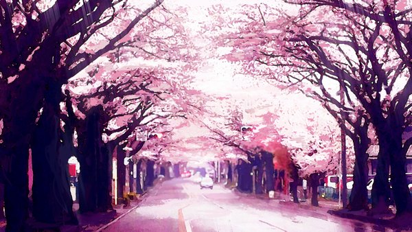Anime picture 2339x1320 with original tatsuya1227 highres wide image outdoors sunlight cherry blossoms no people street plant (plants) tree (trees) branch ground vehicle car road traffic lights