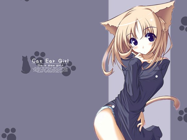 Anime picture 1024x768 with blue eyes light erotic animal ears tail grey background cat girl ranguage engrish girl underwear panties