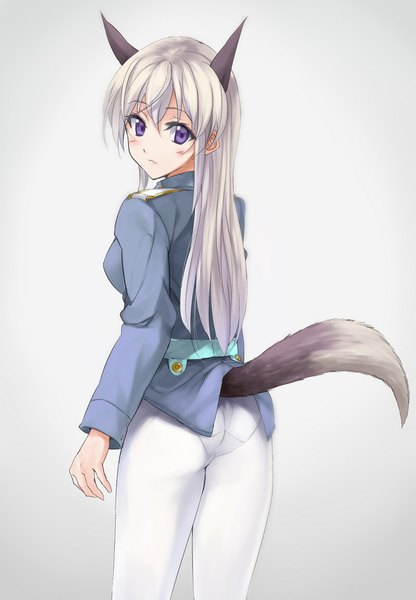 Anime picture 800x1152 with strike witches eila ilmatar juutilainen kabocha (monkey4) single long hair tall image looking at viewer simple background purple eyes animal ears silver hair tail animal tail looking back girl suit