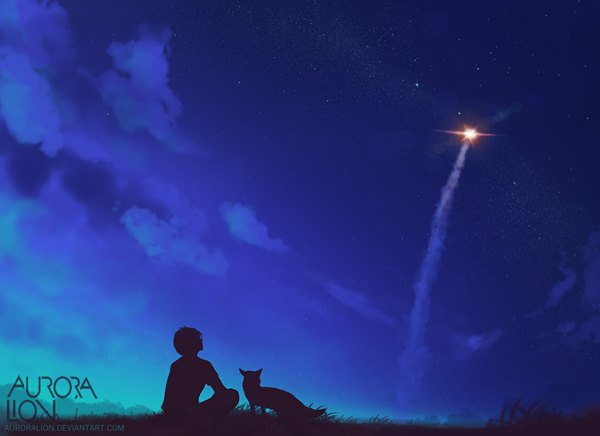 Anime picture 1094x795 with original auroralion short hair sitting cloud (clouds) night night sky looking up silhouette boy plant (plants) animal grass fox rocket