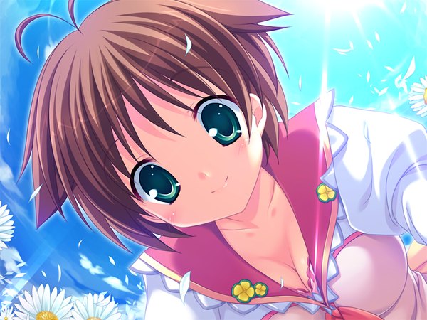 Anime picture 1024x768 with marguerite sphere midorikawa nanohana yuyi single looking at viewer blush short hair breasts smile brown hair green eyes game cg sky cloud (clouds) ahoge girl flower (flowers) petals
