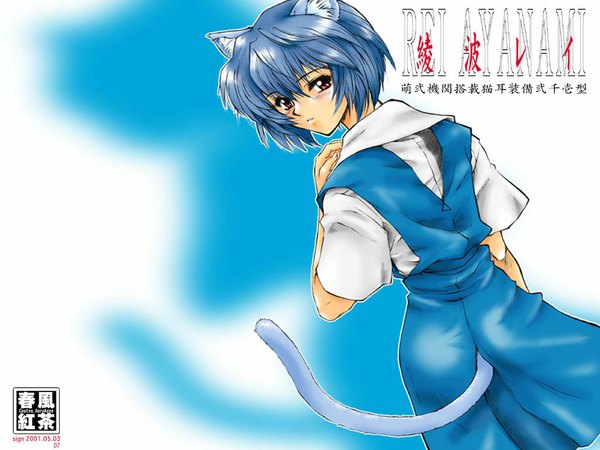 Anime picture 1024x768 with neon genesis evangelion gainax ayanami rei animal ears cat girl girl