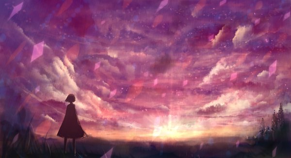 Anime picture 1276x696 with original bounin single short hair wide image sky cloud (clouds) from behind sunlight back evening light sunset girl dress plant (plants) grass