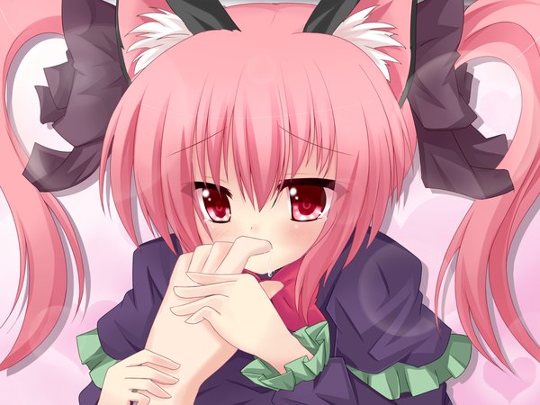 Anime picture 1200x900 with touhou kaenbyou rin kuromari (runia) single long hair blush simple background red eyes twintails animal ears pink hair cat ears loli cat tail finger to mouth saliva girl dress bow hair bow