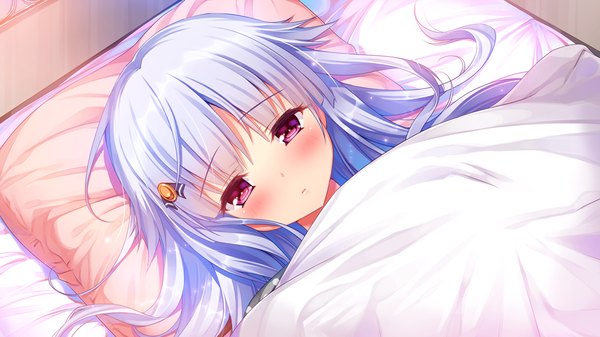 Anime picture 1280x720 with shirogane x spirits! giga kiryuu chikage kino (kino konomi) single long hair looking at viewer blush fringe wide image blue hair game cg lying pink eyes on back sick girl ribbon (ribbons) hair ribbon pillow