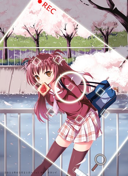 Anime picture 800x1100 with original kaho okashii single long hair tall image blush brown eyes pink hair mouth hold cherry blossoms girl thighhighs uniform ribbon (ribbons) black thighhighs plant (plants) hair ribbon school uniform petals tree (trees)