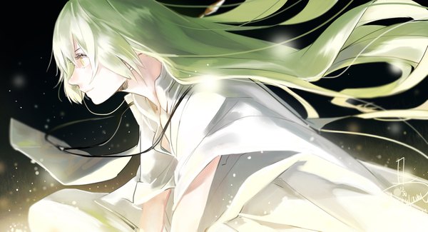 Anime picture 1937x1051 with fate (series) fate/grand order enkidu (fate) mizutamari tori single long hair highres simple background smile wide image signed yellow eyes looking away profile green hair wind wide sleeves black background glow boy