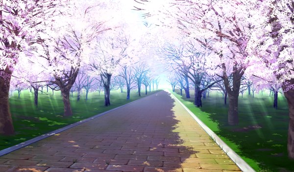 Anime picture 1024x600 with da capo iii wide image game cg sky cloud (clouds) cherry blossoms no people landscape plant (plants) tree (trees) road