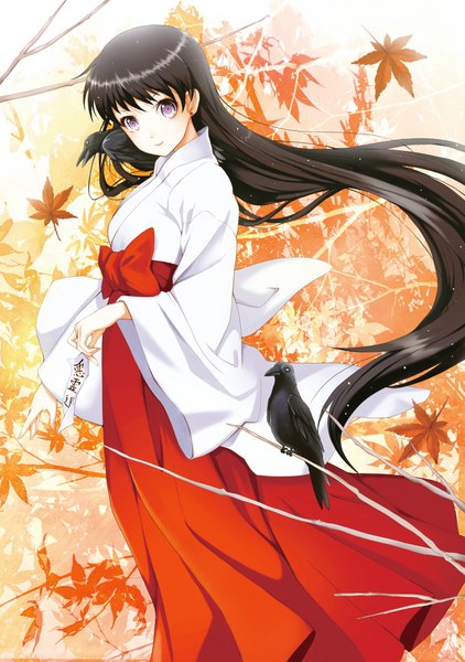 Anime picture 1408x2000 with bishoujo senshi sailor moon toei animation hino rei phobos (sailor moon) deimos (sailor moon) wang jiabo tall image fringe black hair very long hair traditional clothes japanese clothes wide sleeves miko girl animal bird (birds) leaf (leaves) branch autumn leaves