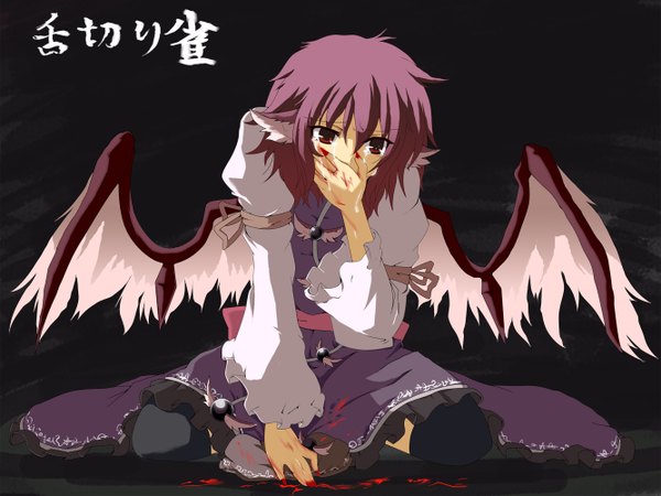 Anime picture 1333x1000 with touhou mystia lorelei nejime short hair pink hair tears hat removed headwear removed girl hat wings blood