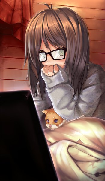 Anime picture 800x1368 with original dreamlight2000 single long hair tall image looking at viewer fringe brown hair green eyes ahoge indoors long sleeves reflection girl animal glasses cat monitor