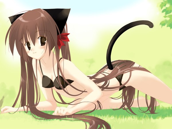 Anime picture 1600x1200 with light erotic animal ears tail cat girl underwear only girl underwear panties