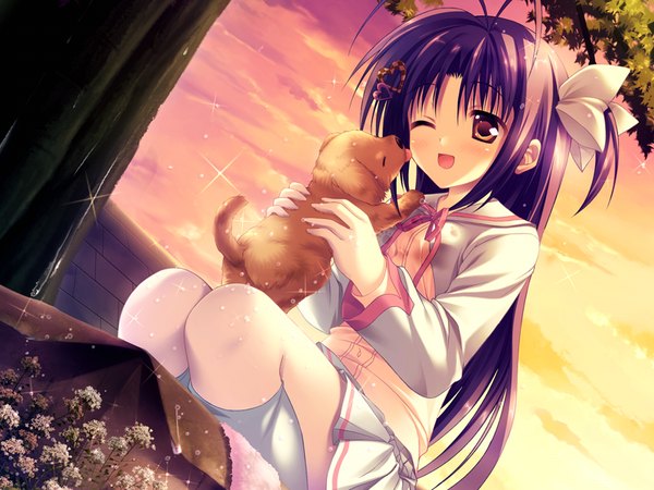 Anime picture 800x600 with princess party! itsukushima eri tateha (marvelous grace) single long hair blush fringe open mouth smile holding brown eyes game cg purple hair ahoge bent knee (knees) :d pleated skirt one eye closed dutch angle evening