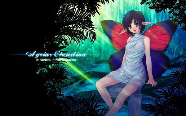 Anime picture 1920x1200 with genshi highres short hair blue eyes wide image sitting blue hair pointy ears wallpaper nature transparent insect wings butterfly wings wings water