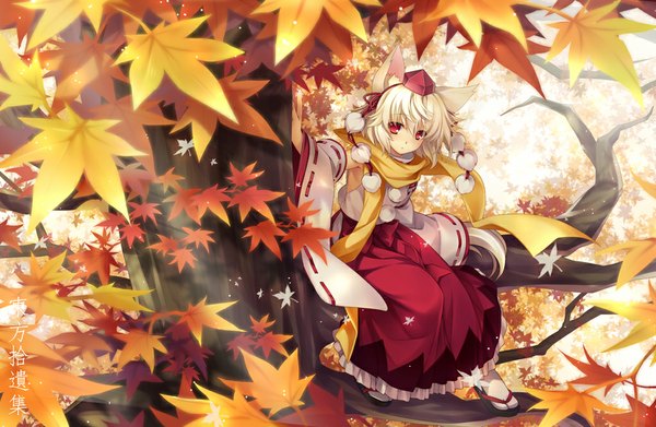 Anime picture 1024x669 with touhou inubashiri momiji riv single short hair red eyes animal ears white hair autumn girl plant (plants) hat detached sleeves tree (trees) leaf (leaves)