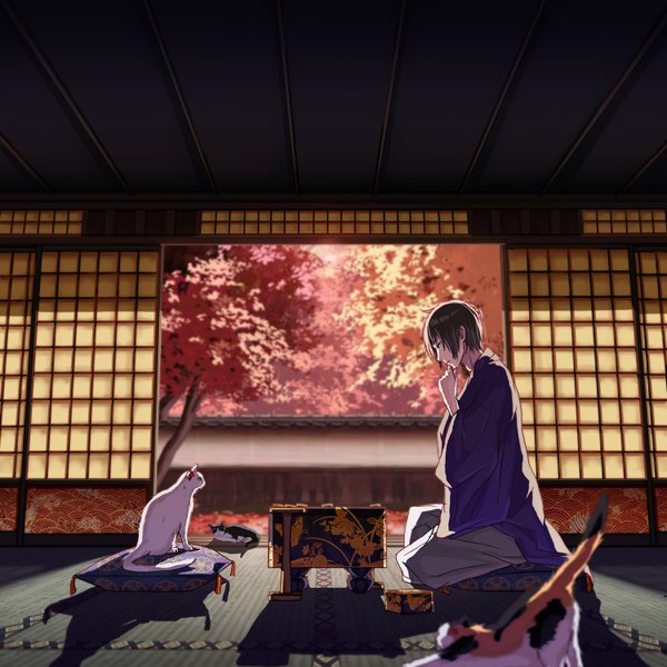 Anime picture 1500x1500 with original 108tooya single black hair sitting traditional clothes profile shadow hand on chest playing games boy plant (plants) animal tree (trees) pillow cat yukata sliding doors shouji go board